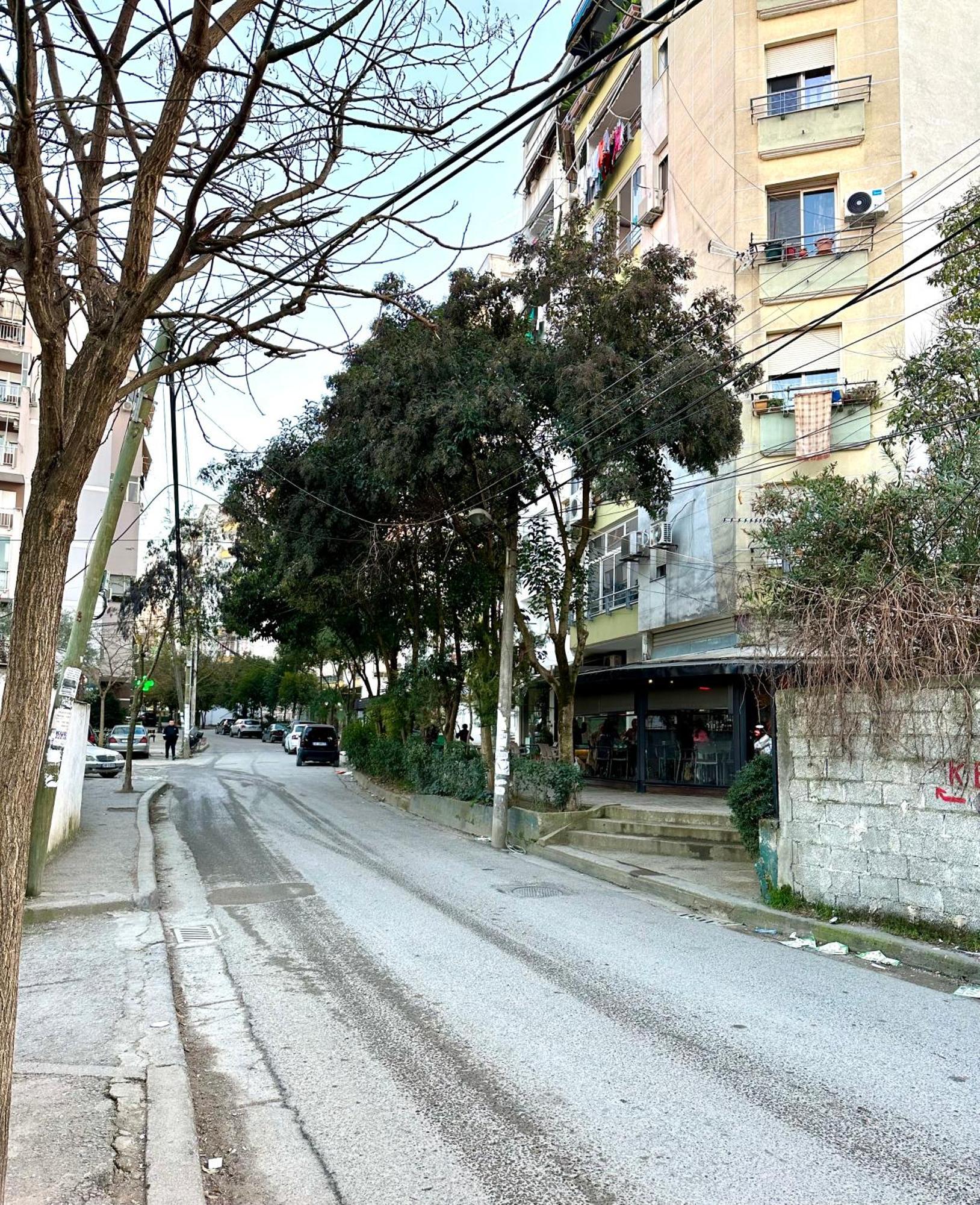 טיראנה Skyview Oasis Premium Apartment מראה חיצוני תמונה